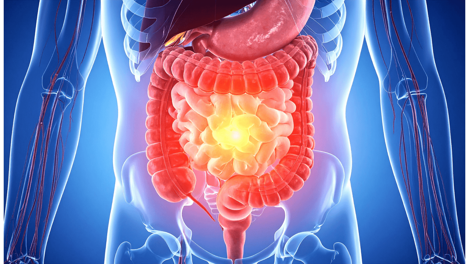 Illustration of digestive tract with probiotics and gut-friendly foods like yogurt, berries, and leafy greens