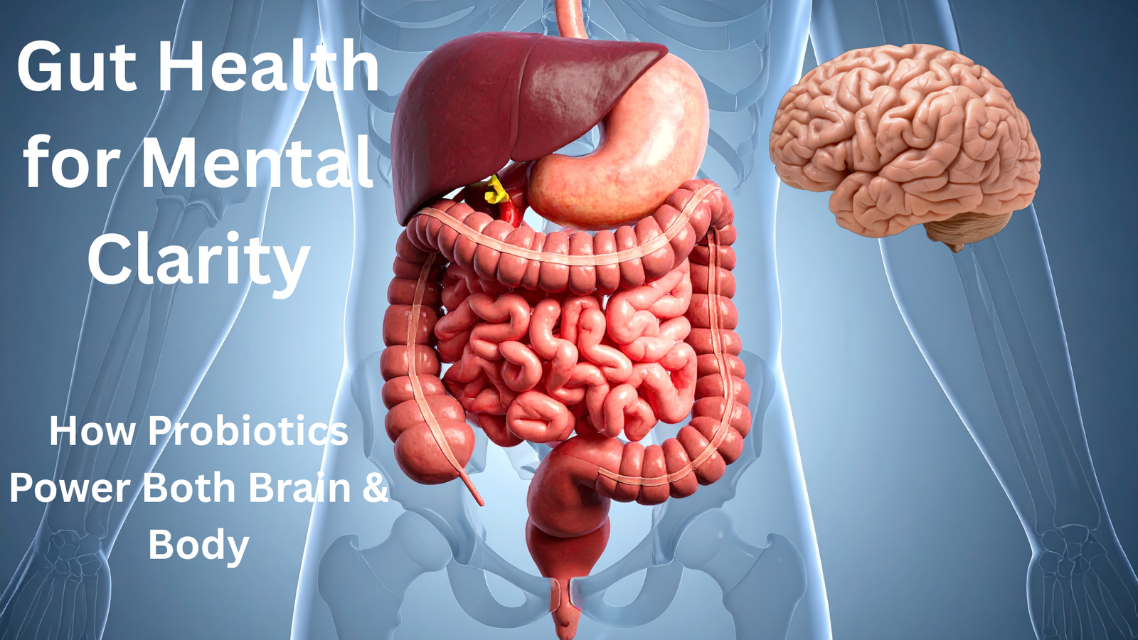 Illustration of the gut-brain axis connection showing how probiotics influence digestion, mood, and mental clarity.