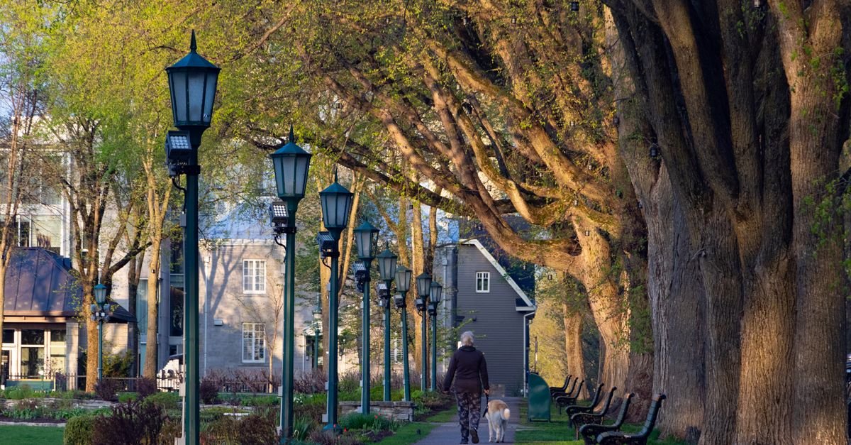 Someone walking along an outdoor path in morning light